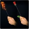 Antorcha a Rosa