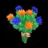 Ramo de 8 Flores