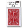 Carta Magnetizable