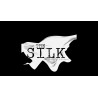 The Silk by Gonzalo Albiñana