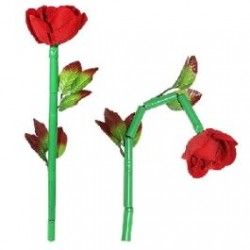 Rosa Rota y Recompuesta