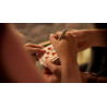 Together Forever by Steve Gore