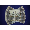 Billetes Flash