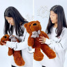 Aparición Oso de Peluche