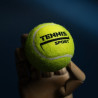Tennis by Alex NG & Herry Harrius