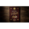 Descubre Harry Potter Self Coloring Book | As de Magia