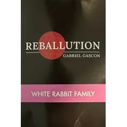 Descubre Familia Conejos 3D de Gabriel Gascon | As de Magia