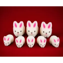 Descubre Familia Conejos 3D de Gabriel Gascon | As de Magia