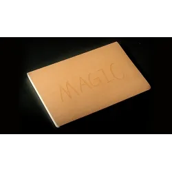 Descubre Revelio para predicciones mágicas | As de Magia